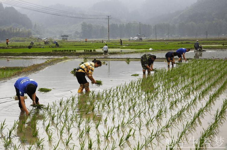 【在希望的田野上】各地抢抓农时有序推进农业生产